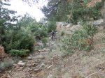 CIMG0954.jpg