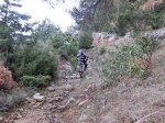 CIMG0955.jpg