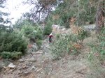 CIMG0956.jpg