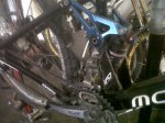 IMG00446-20120608-1419.jpg