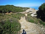 liteville (1).jpg