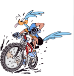 logo transparente.png