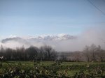 PICT0002 (Copiar).JPG