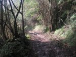 PICT0026 (Copiar).JPG