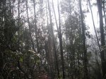 PICT0036 (Copiar).JPG
