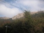 PICT0058 (Copiar).JPG