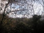 PICT0085 (Copiar).JPG