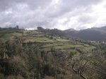 PICT0102 (Copiar).JPG