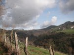 PICT0104 (Copiar).JPG