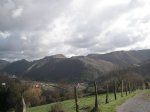 PICT0115 (Copiar).JPG