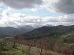 PICT0121 (Copiar).JPG