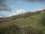 PICT0122 (Copiar).JPG