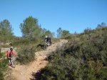 CIMG4286 (Copiar).jpg