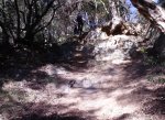 DSCF6031.JPG