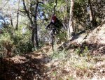 DSCF6034.JPG