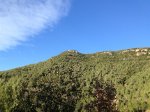 IMG_2863 (Medium).JPG