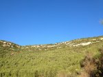 IMG_2864 (Medium).JPG