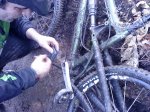 DSC07569.JPG