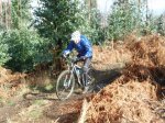 20130203-02.JPG