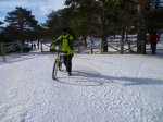 Foto3.JPG