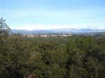 IMG_0566.JPG