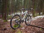 nico650b.jpg