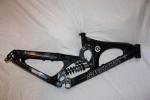 IMG_9594.gif