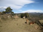 Prats de Llu&#231;an&#233;s. 050.jpg
