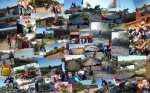Collages1_800x500.jpg