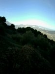 IMG-20130203-WA0041.jpg