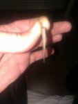 IMAG0430.jpg