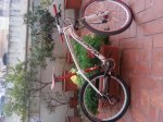 20130205_174844.jpg