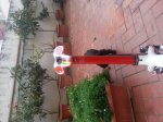 20130205_175044.jpg