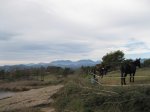 Prats de Llu&#231;an&#233;s. 057.jpg