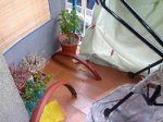 2013-02-04 08.35.12.jpg
