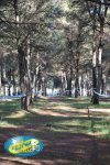 duatlon getafe_27.jpg