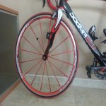 20130206_140803.jpg