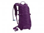 camelbak_asset_violet_2012-z.jpg