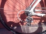Bici Emi-3.JPG