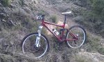 IMAG0646.jpg
