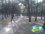 IMAG0494.jpg