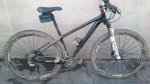 resized_DSC_0303.jpg