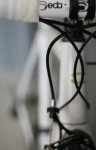 parlee4.jpg