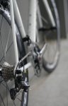 parlee5.jpg