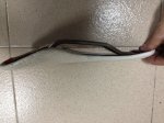IMG-20130208-WA0018.jpg