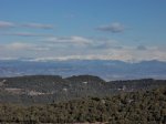 DSC02915.JPG