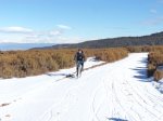 DSC02930.JPG