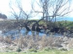 DSC02949.JPG