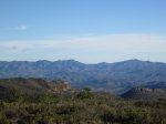 IMG_0333.JPG