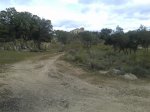 20130209_094845.jpg